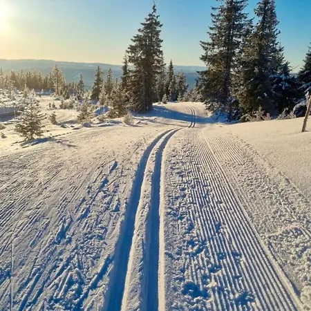 New At Skeikampen, Perfect For Families! Prázdninový dům *